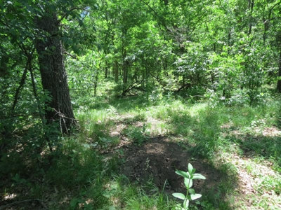 Marquette Cty Multi Parcel 173+/- acre Land & Lodge Auction - image 30