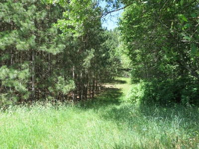 Marquette Cty Multi Parcel 173+/- acre Land & Lodge Auction - image 31