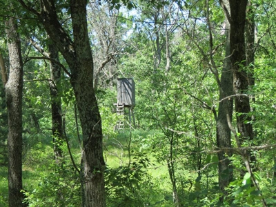 Marquette Cty Multi Parcel 173+/- acre Land & Lodge Auction - image 32