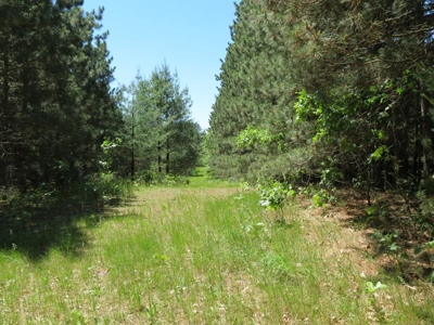 Marquette Cty Multi Parcel 173+/- acre Land & Lodge Auction - image 33