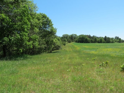 Marquette Cty Multi Parcel 173+/- acre Land & Lodge Auction - image 34