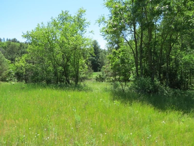 Marquette Cty Multi Parcel 173+/- acre Land & Lodge Auction - image 36
