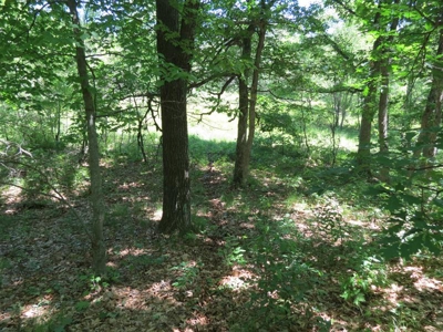 Marquette Cty Multi Parcel 173+/- acre Land & Lodge Auction - image 37