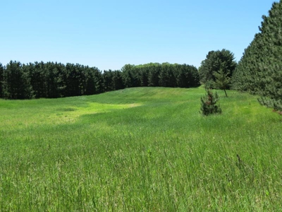 Marquette Cty Multi Parcel 173+/- acre Land & Lodge Auction - image 38