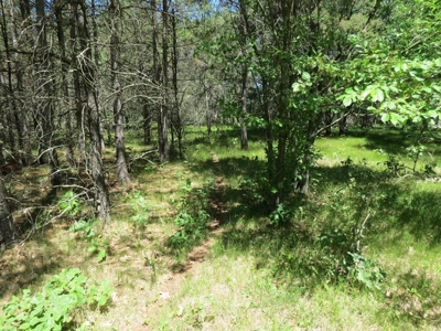 Marquette Cty Multi Parcel 173+/- acre Land & Lodge Auction - image 39