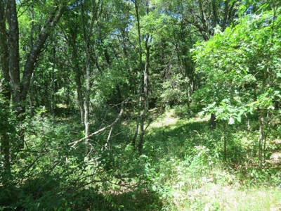 Marquette Cty Multi Parcel 173+/- acre Land & Lodge Auction - image 40