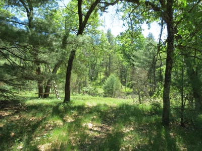 Marquette Cty Multi Parcel 173+/- acre Land & Lodge Auction - image 41