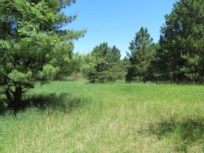 Marquette Cty Multi Parcel 173+/- acre Land & Lodge Auction - image 43