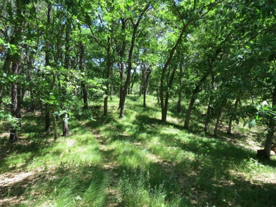 Marquette Cty Multi Parcel 173+/- acre Land & Lodge Auction - image 44