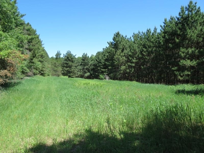 Marquette Cty Multi Parcel 173+/- acre Land & Lodge Auction - image 45