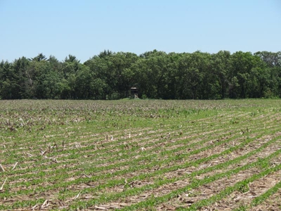 Marquette Cty Multi Parcel 173+/- acre Land & Lodge Auction - image 46