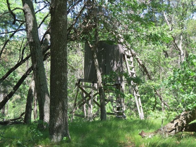 Marquette Cty Multi Parcel 173+/- acre Land & Lodge Auction - image 47