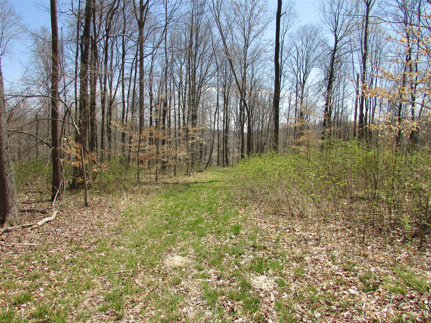 N. Letterman Rd., Paragon, Indiana, 46166
