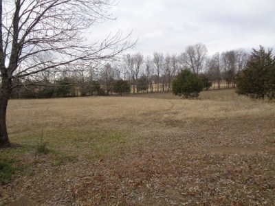 Land Auction Multiple Parcels - image 3