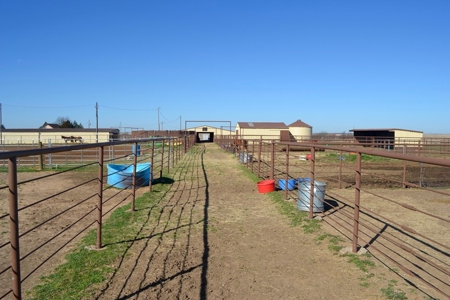 Horse Property Land For Sale Jefferson County Oklahoma - image 5
