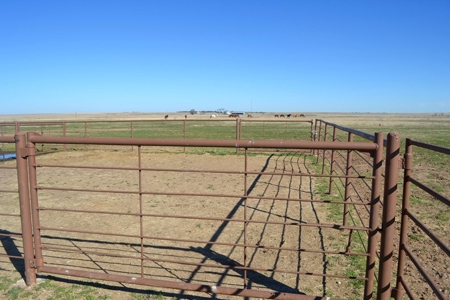 Horse Property Land For Sale Jefferson County Oklahoma - image 6