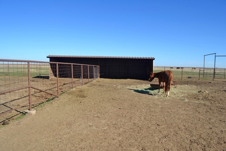 Horse Property Land For Sale Jefferson County Oklahoma - image 12