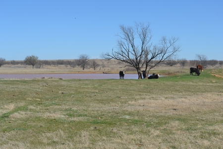 Horse Property Land For Sale Jefferson County Oklahoma - image 41