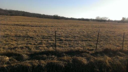 Northwest Missouri Land Auction - image 2