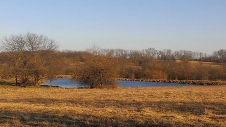 Northwest Missouri Land Auction - image 9