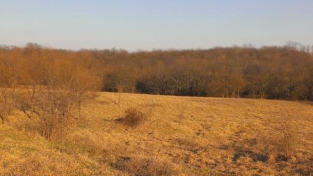 Northwest Missouri Land Auction - image 11