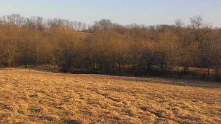 Northwest Missouri Land Auction - image 15