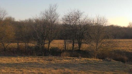 Northwest Missouri Land Auction - image 12