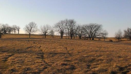 Northwest Missouri Land Auction - image 3