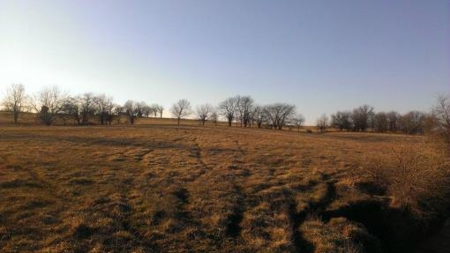 Northwest Missouri Land Auction - image 20