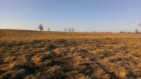 Northwest Missouri Land Auction - image 23