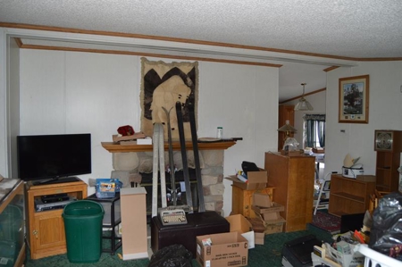 Mike Carlile Estate Auction - image 10