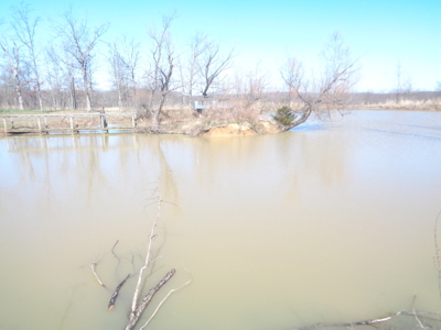 Home And Farm Auction In Marble City, Close To Tahlequah, - image 2