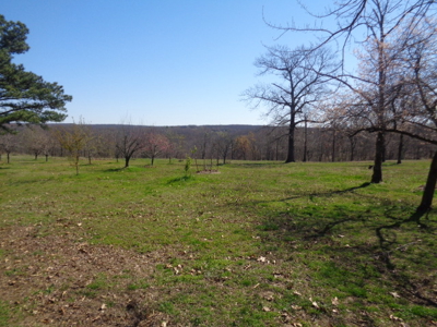 Home And Farm Auction In Marble City, Close To Tahlequah, - image 21