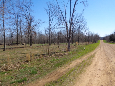 Home And Farm Auction In Marble City, Close To Tahlequah, - image 38