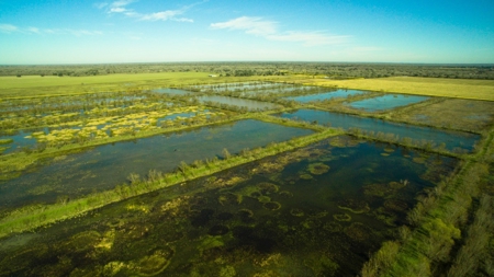 229 Acre (approx) Recreational/Hunting/Fishing Farm/Ranch - image 1