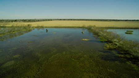 229 Acre (approx) Recreational/Hunting/Fishing Farm/Ranch - image 2