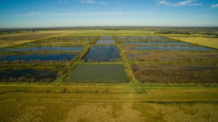 229 Acre (approx) Recreational/Hunting/Fishing Farm/Ranch - image 3