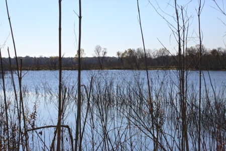 229 Acre (approx) Recreational/Hunting/Fishing Farm/Ranch - image 5