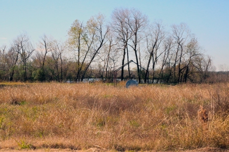 229 Acre (approx) Recreational/Hunting/Fishing Farm/Ranch - image 7