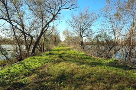 229 Acre (approx) Recreational/Hunting/Fishing Farm/Ranch - image 8