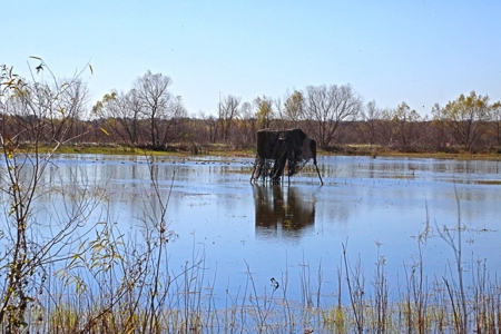 229 Acre (approx) Recreational/Hunting/Fishing Farm/Ranch - image 9
