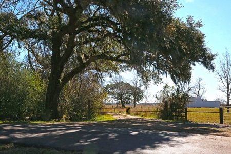 229 Acre (approx) Recreational/Hunting/Fishing Farm/Ranch - image 10