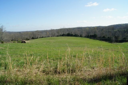 SouthCentral Kentucky Cattle Farm - image 1