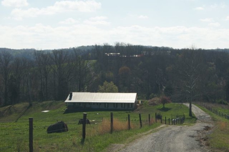 SouthCentral Kentucky Cattle Farm - image 3