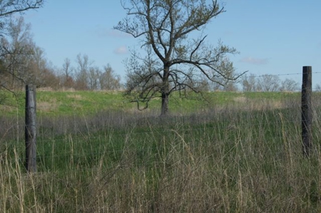 SouthCentral Kentucky Cattle Farm - image 4