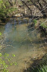 SouthCentral Kentucky Cattle Farm - image 5