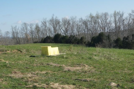 SouthCentral Kentucky Cattle Farm - image 6