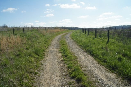 SouthCentral Kentucky Cattle Farm - image 7