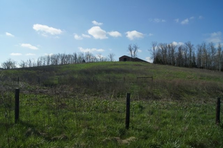 SouthCentral Kentucky Cattle Farm - image 8