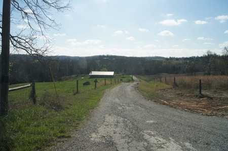 SouthCentral Kentucky Cattle Farm - image 9